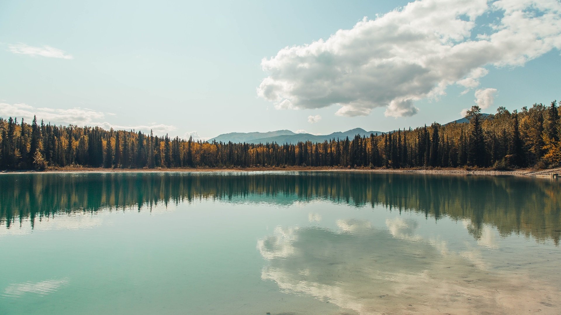 开云官网-“中超到场观众人数逐步回升”，中超现场观众人数统计