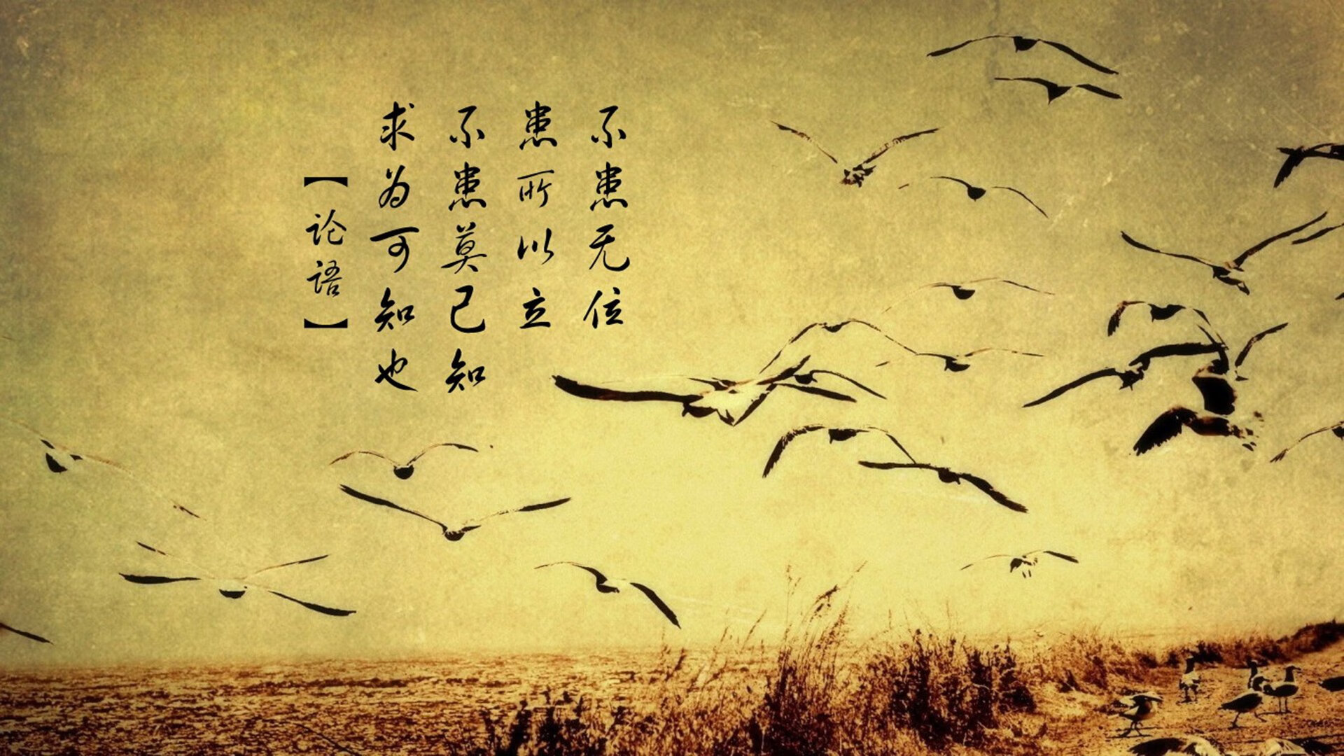 “新时代的经典对决,观众血脉贲张,回味无穷”,时代新篇