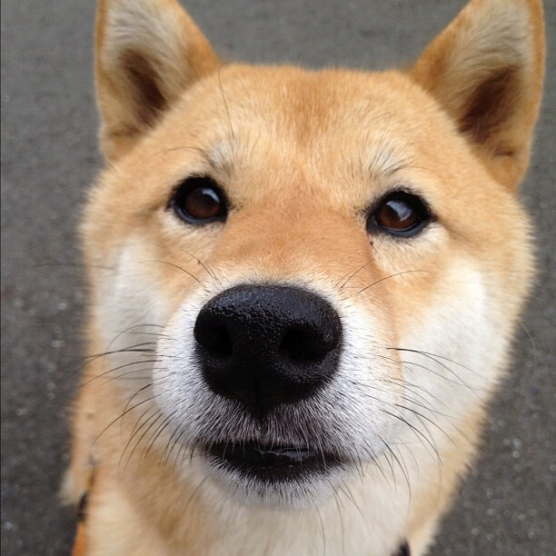 “极速突破”——突破极限的经典超车瞬间,突破极限视频