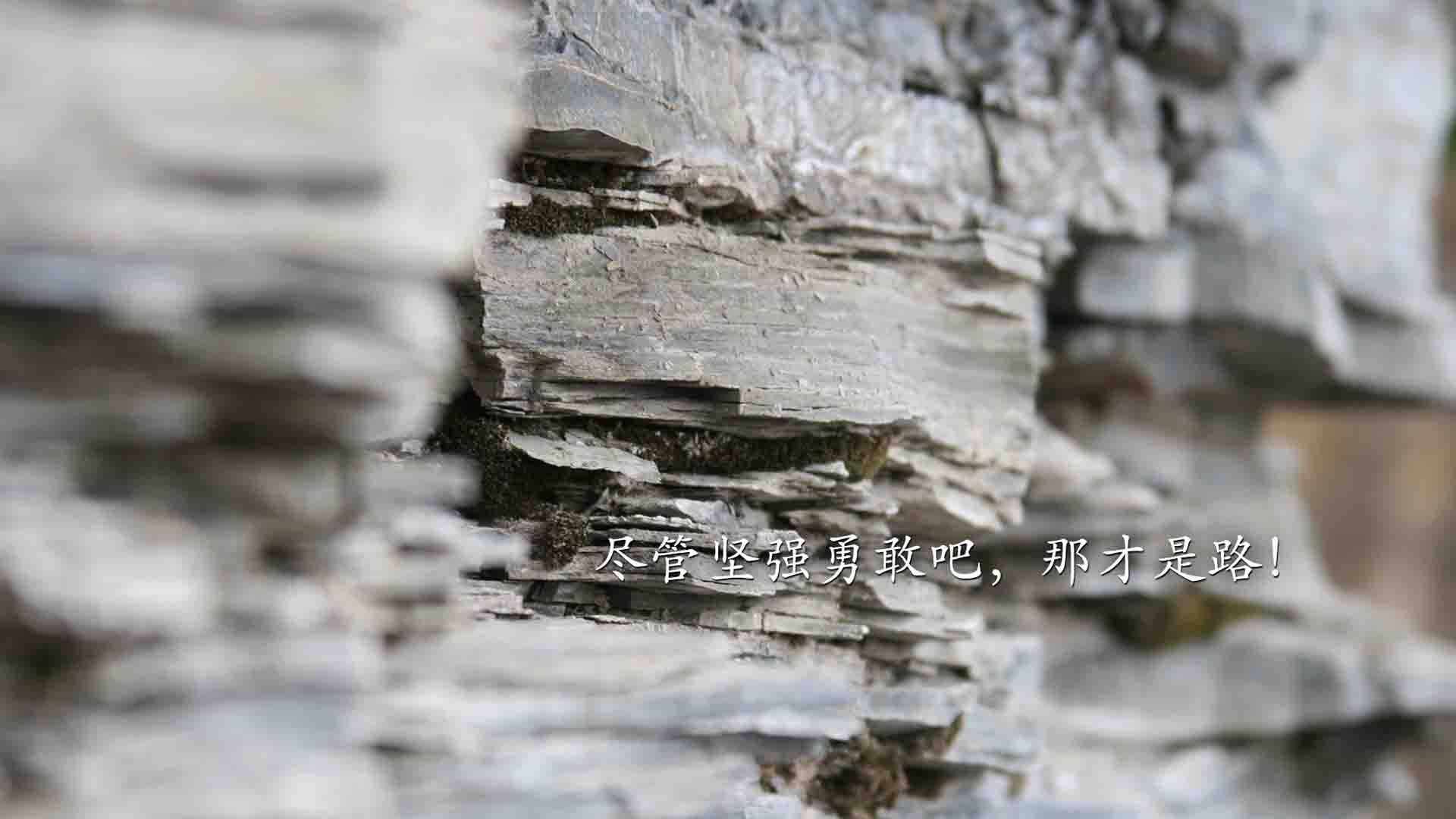 《Dota 2传奇之夜,冠军归属悬念重重》,dota2传奇人物