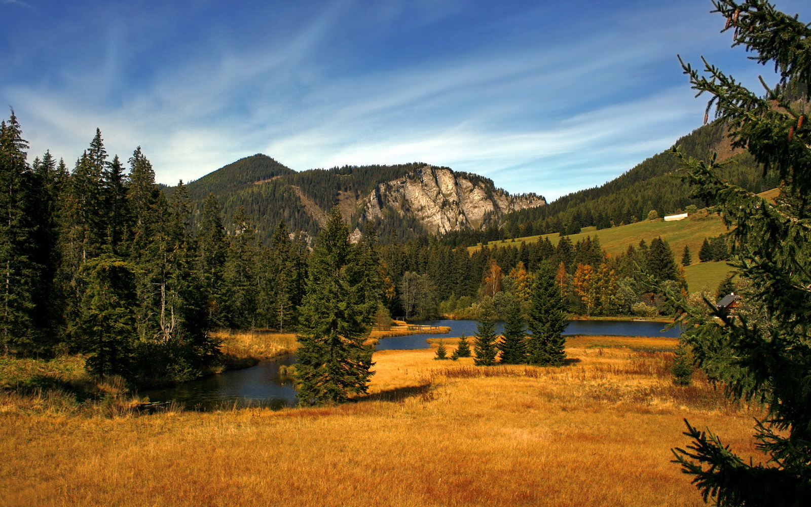 中国青少年足球裁判员上岗率逐年提升,规范化水平不断增强,足球裁判员等级考试