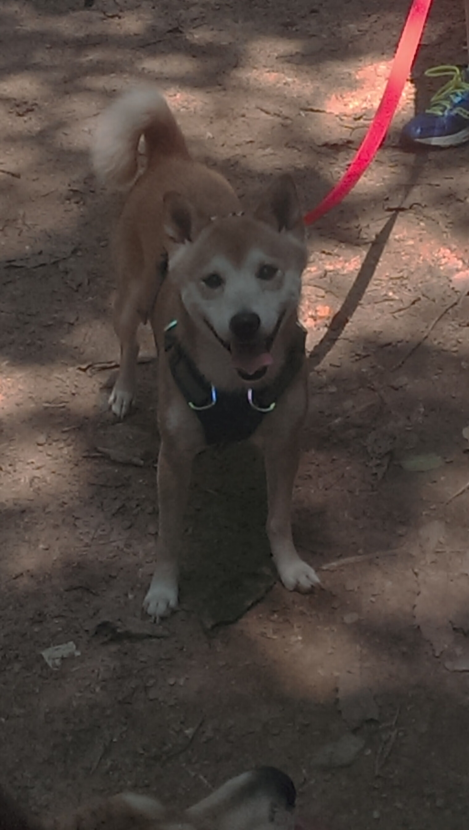 爱游戏娱乐平台-他的“硬汉”风格和“不屈”精神，赢得了全联盟的尊敬！，硬汉的特征