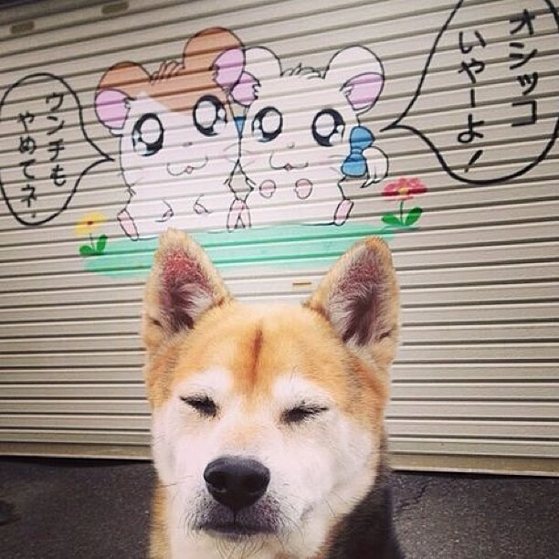 创新足球训练装备引领行业潮流,助推青训发展,足球训练器材套装