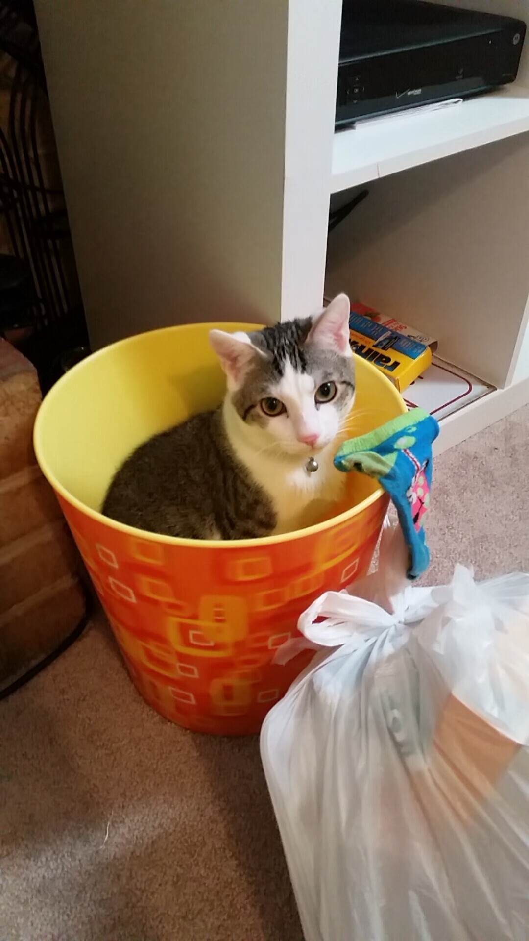 炉石传说 新版本卡牌引发战略调整,炉石传说最新更新卡牌