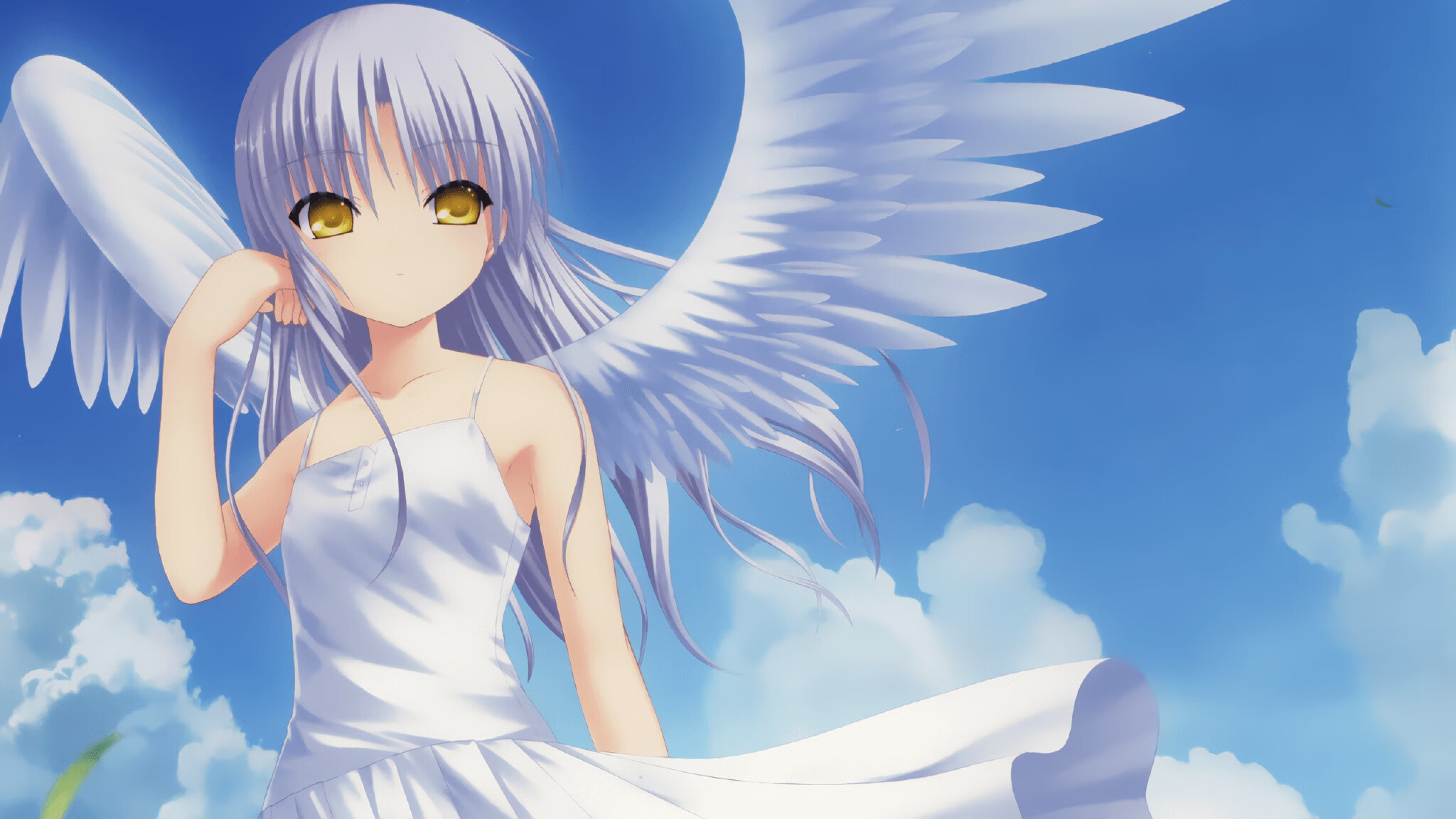 荷兰马术协会与欧洲马术协会签署合作协议,共同举办国际赛事。