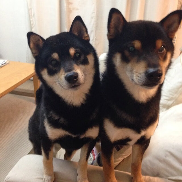 赛场外:F1的环保公益行动,f1 环保