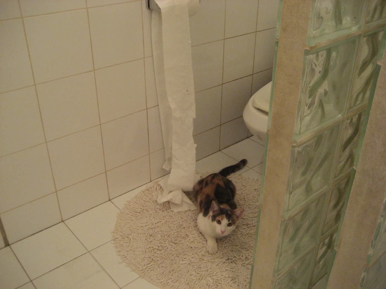 爱游戏下载-马赛“引援狂潮”再升级，多名新援闪耀首秀，马赛联赛