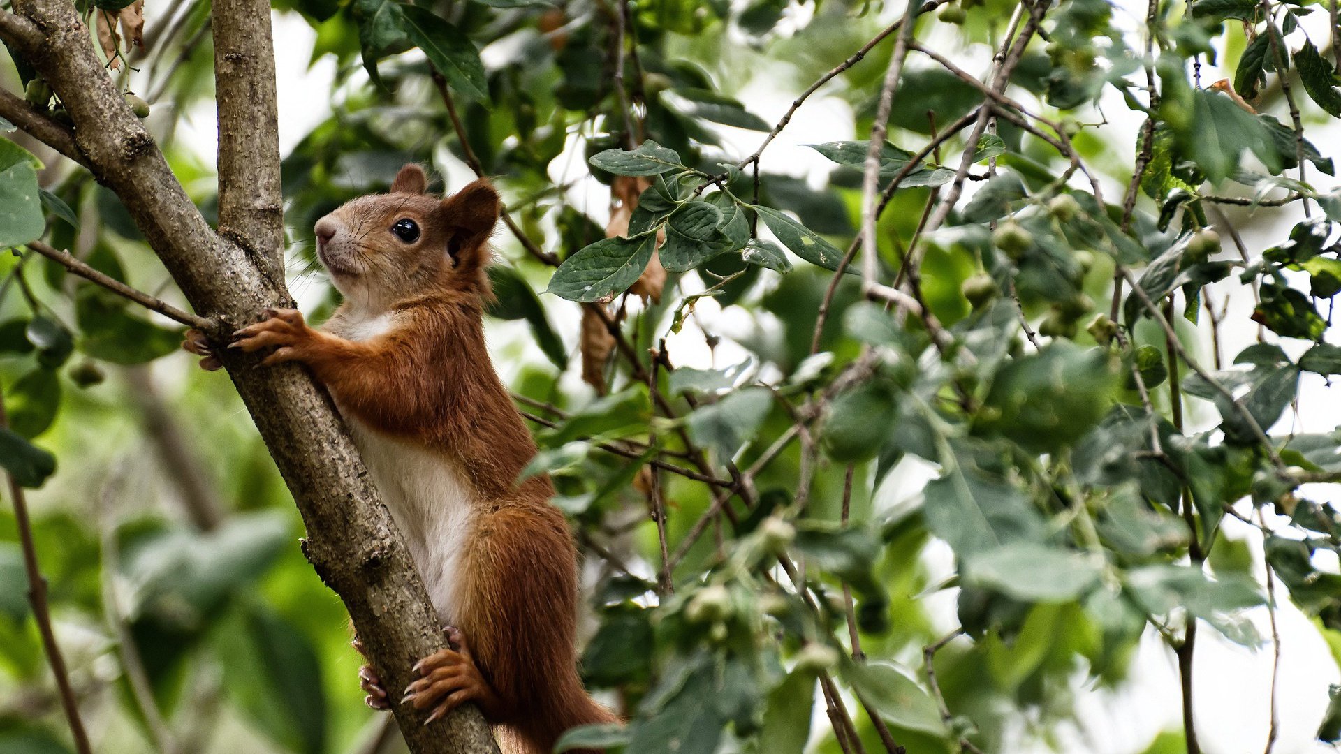 中超球队加强防守体系建设,中超防守最好球队