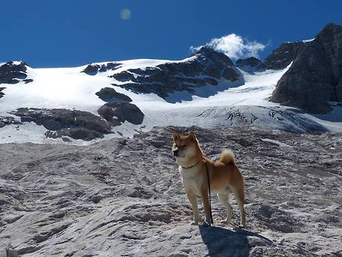 利物浦是否应优先补强中场控制力,利物浦什么阵型