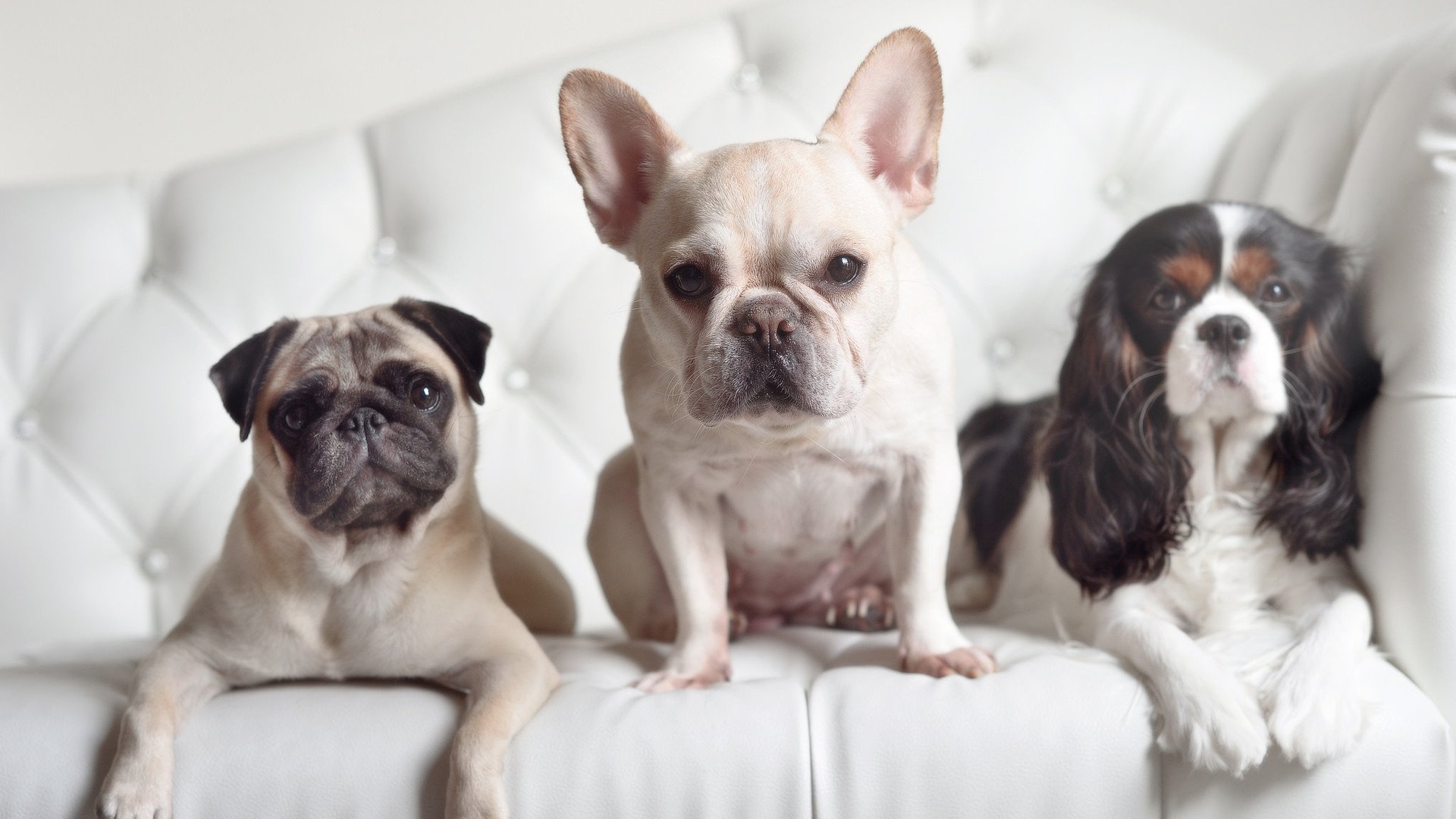 劲爆热门!国内足球赛况交相辉映,足球赛程中国