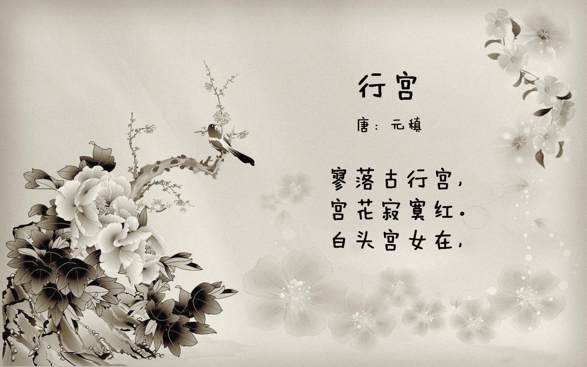 爱游戏官方-美国女足在巴黎奥运会比赛中以2-0战胜日本，奥运会美国女足比分结果