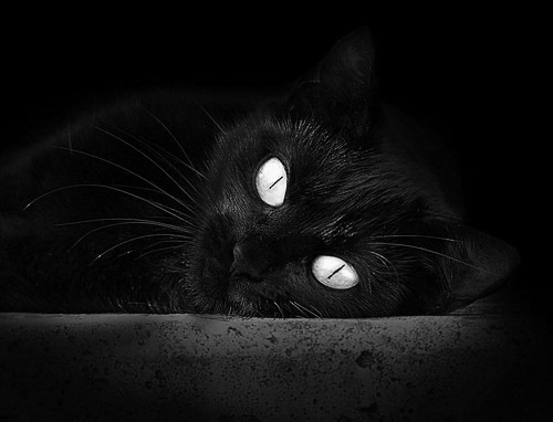 NBA球员技术动作解析,nba球员的经典动作