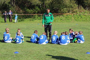 爱游戏-中国篮球教练员战术创新能力培养及培训机制研究，全国篮球教练员岗位培训