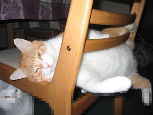 体育赛事对城市文化软实力的提升路径,试论述体育赛事对城市发展的影响