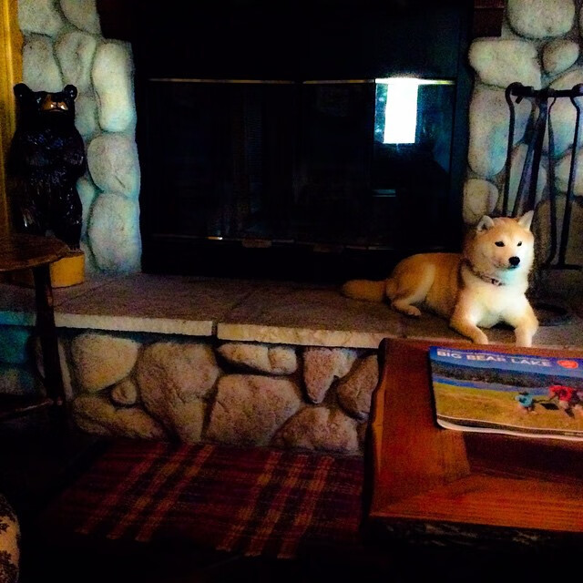 国足反击模式与终结方式匹配报告,足球反击阵型