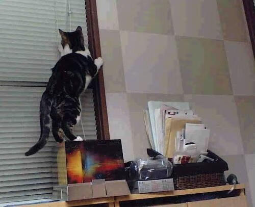 篮球运动员专项技术动作智能分析,篮球专项功能性训练计划