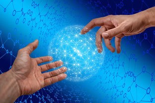 AYX GAME-德国仰泳项目技术稳定提升，德国仰泳项目技术稳定提升方案