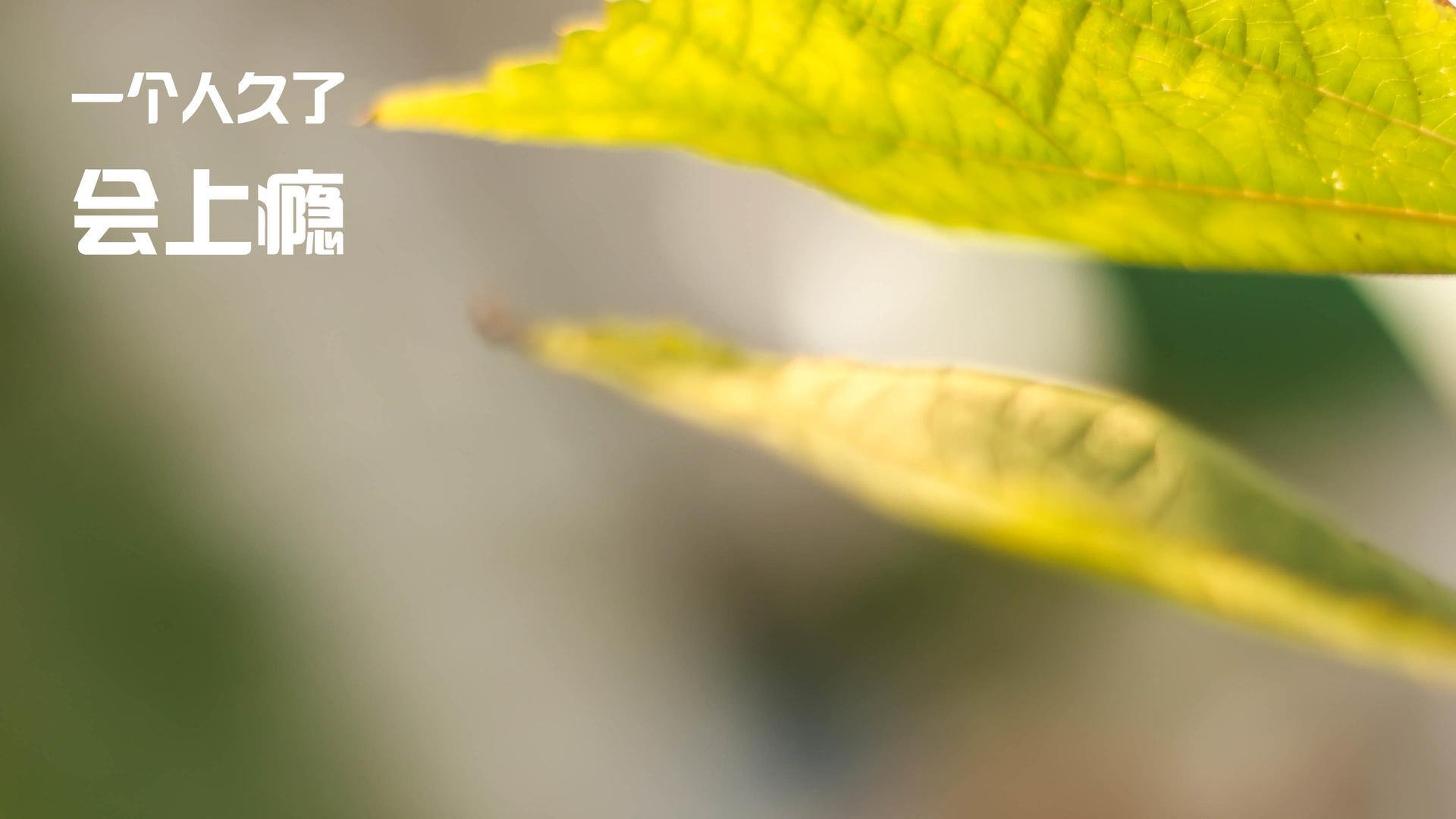 男泳小将初登赛场即夺牌,男子游泳队最帅