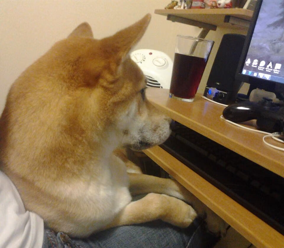 AYX GAME-萨默·麦金托什赛场风采尽显未来之星，麦金托什怎么读